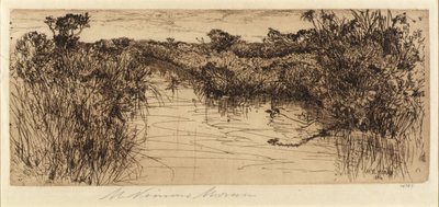 Meadowland de Mary Nimmo Moran