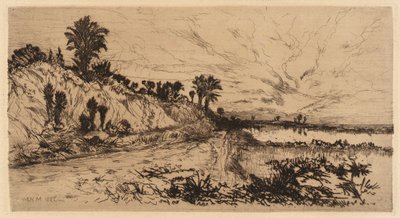 La costa de Florida de Mary Nimmo Moran