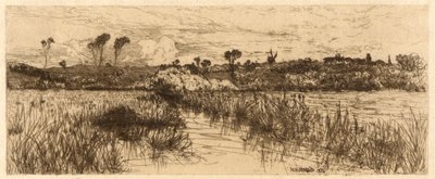 El refugio de la rata almizclera de Mary Nimmo Moran