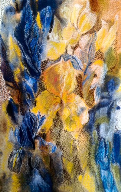 iris dorado y azul de Mary Smith