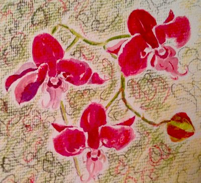 Orquídeas de Mary Smith