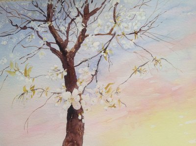 flor de cerezo blanco de Mary Smith