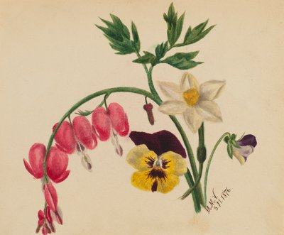 (Sin título - Flores mixtas) de Mary Vaux Walcott