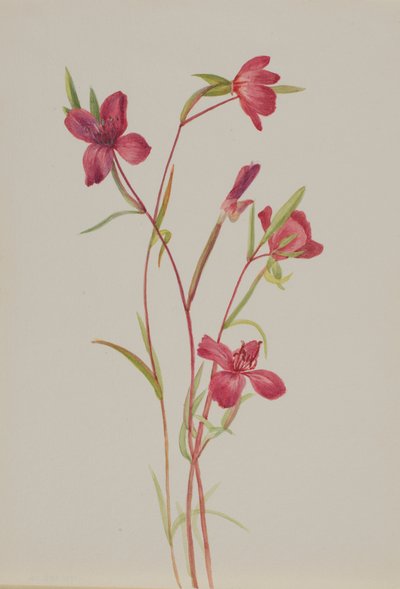 Despedida de la primavera de Mary Vaux Walcott