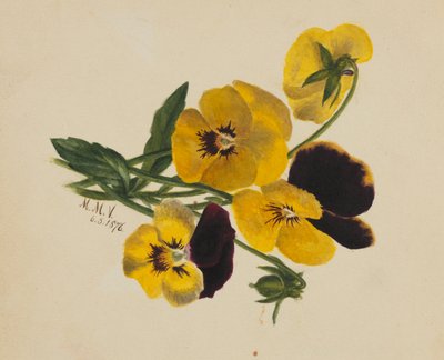 Sin título (Pensamientos) de Mary Vaux Walcott