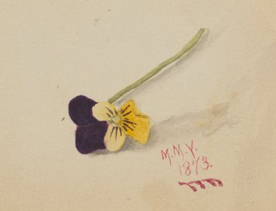 Sin título (Pensamiento) de Mary Vaux Walcott