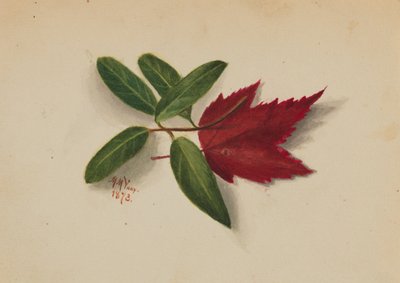 Sin título, 1873 de Mary Vaux Walcott