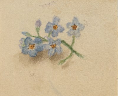 Sin título, 1874 de Mary Vaux Walcott