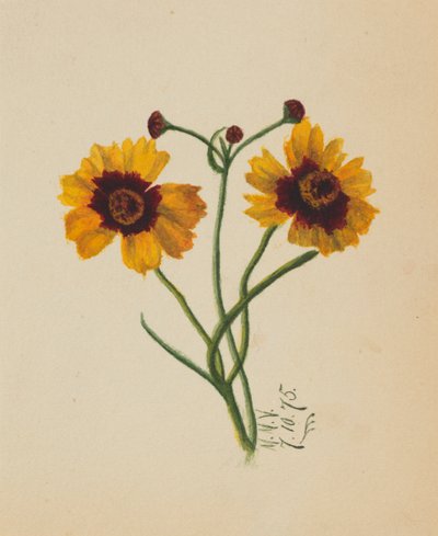 Sin título, 1875 de Mary Vaux Walcott