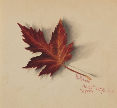Hoja de otoño sin título, 1872 de Mary Vaux Walcott