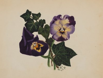 Sin título Pensamientos y Hiedra, 1876 de Mary Vaux Walcott