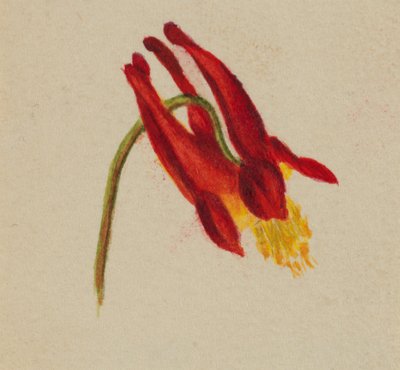 Sin título, ca. 1874 de Mary Vaux Walcott