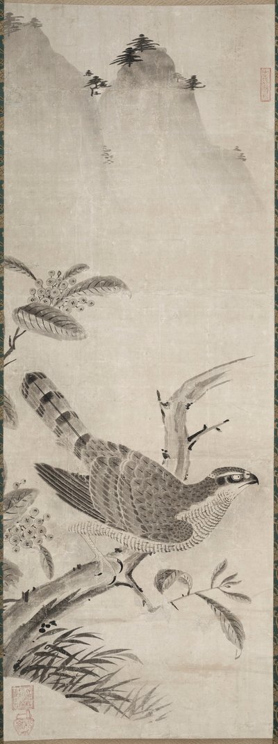 Halcón, mediados del siglo XVI de Masayoshi Fujiwara