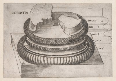 Speculum Romanae Magnificentiae: Base corintia del Templo de Marte Ultor, Roma, ca. 1537 de Master GA