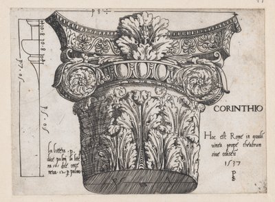 Speculum Romanae Magnificentiae: Capitel corintio, 1537 de Master PS