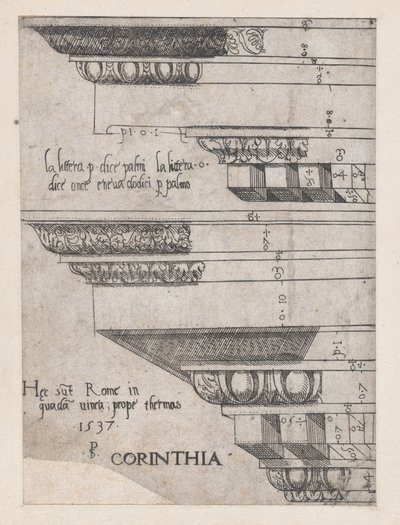 Speculum Romanae Magnificentiae: Entablamento corintio, 1537 de Master PS