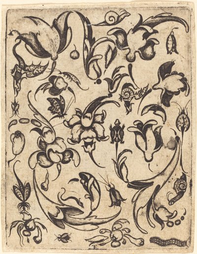 Ornamento de Master T.F.