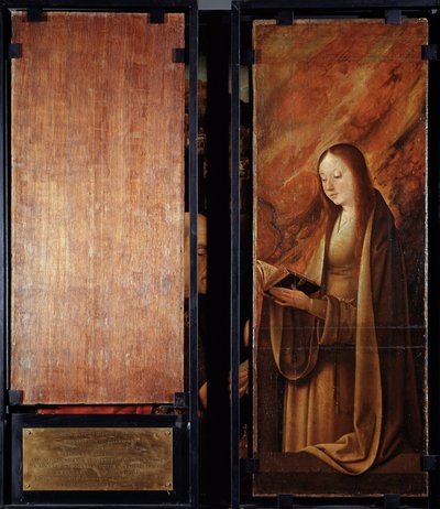 Adoración de los Reyes Magos, paneles cerrados (óleo sobre madera) de Master of Hoogstraten