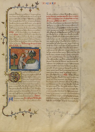 La creación de las aves y los peces de Master of Jean de Mandeville