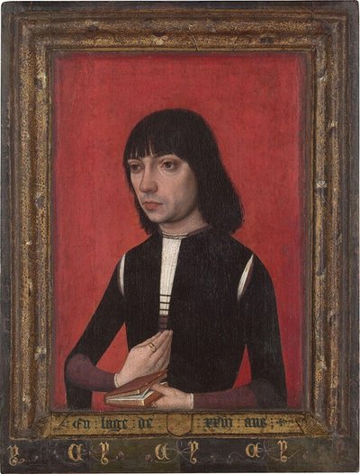 Neerlandés: Retrato de un joven de la familia Fonseca Retrato de un joven de la familia Fonseca de Master of Portraits of Princes