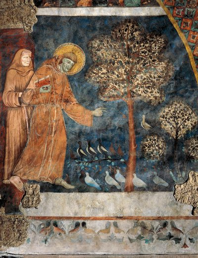 Predicar a los pájaros de Master of Saint Francis of Assisi