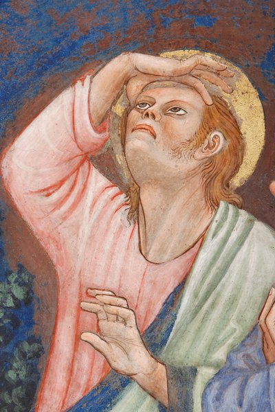 "La Ascensión de Cristo", Detalle con un santo, c.1420 (fresco) de Master of Vignola