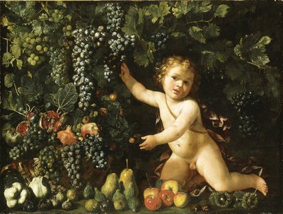 Uvas en la vid, granadas, uvas y escaramujos en una cesta, con higos, manzanas, peras y castañas junto a un putto de Master of the Acquavella Still Life