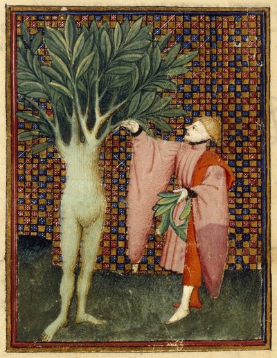 Apolo y Dafne de Master of the Cité des Dames