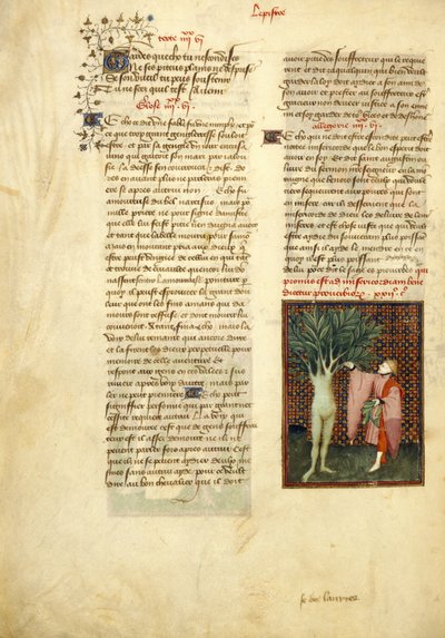 Harley 4431, f.134v Apolo y Dafne, de las 