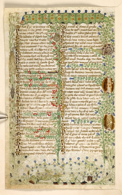 Agregar. 28841, f.2v: Orugas, caracoles y otros insectos, de un Tratado sobre las virtudes y los vicios, y una historia en prosa anónima de Sicilia (fragmento), c.1330-40 (vitela) de Master of the Cocharelli Codex