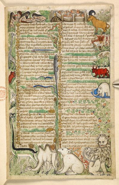 Agregar. 28841, f.3: Caníbales, una ciudad amurallada y animales exóticos que incluyen una jirafa, un león, un camello y un elefante, de un Tratado sobre las virtudes y los vicios, y una historia en prosa anónima de Sicilia (fragmento), c.1330- 40 (vitela) de Master of the Cocharelli Codex