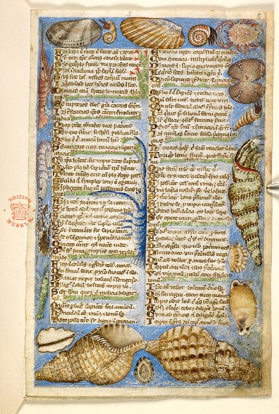Agregar. 28841, f.5: Conchas y criatura marina, de un Tratado sobre las virtudes y los vicios, y una historia anónima en prosa de Sicilia (fragmento), c.1330-40 (vitela) de Master of the Cocharelli Codex
