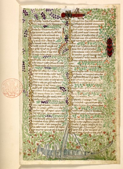 Agregar. 28841, f.7, Flores, frutas e insectos, incluidos un saltamontes y una langosta, de un Tratado sobre las virtudes y los vicios, y una historia anónima en prosa de Sicilia (fragmento) de Master of the Cocharelli Codex