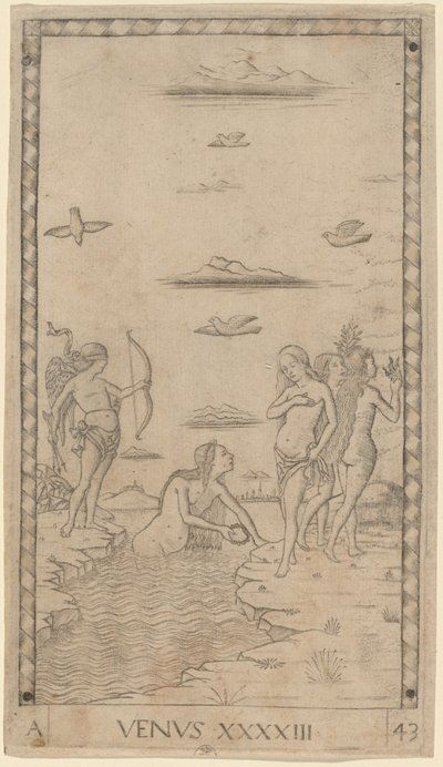 Venus de Master of the E Series Tarocchi