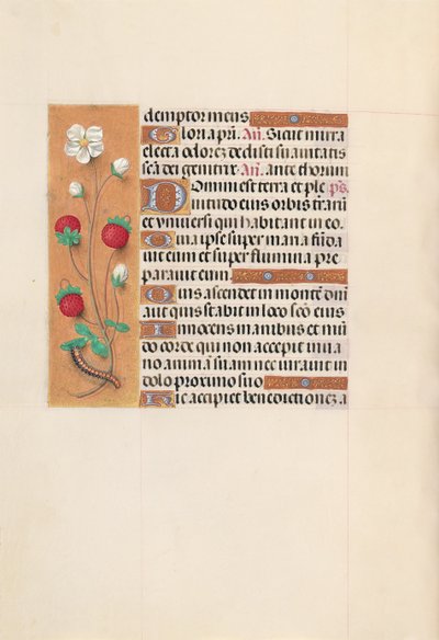 Horas de la Reina Isabel la Católica, Reina de España: Fol. 102v, c. 1500 de Master of the First Prayerbook of Maximillian