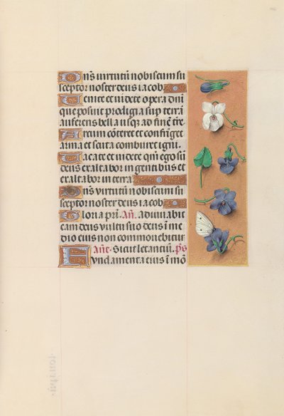 Horas de la Reina Isabel la Católica, Reina de España: Fol. 106r de Master of the First Prayerbook of Maximillian