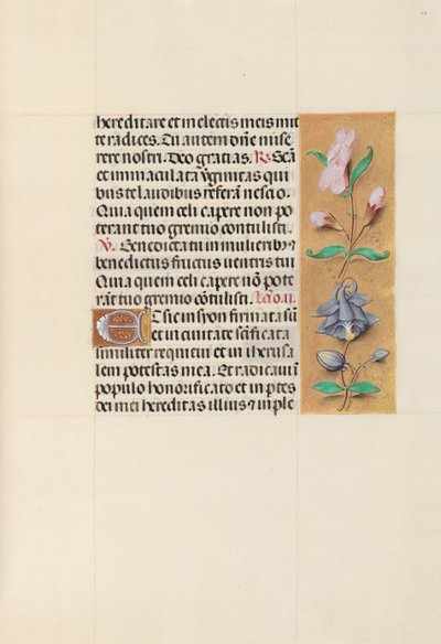 Horas de la Reina Isabel la Católica, Reina de España: Fol. 111r, c. 1500 de Master of the First Prayerbook of Maximillian