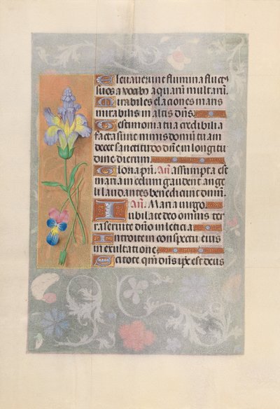 Horas de la Reina Isabel la Católica, Reina de España: Fol. 116v, c. 1500 de Master of the First Prayerbook of Maximillian