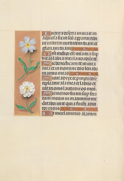 Horas de la Reina Isabel la Católica, Reina de España: Fol. 117v de Master of the First Prayerbook of Maximillian