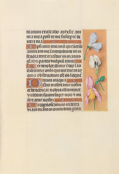 Horas de la Reina Isabel la Católica, Reina de España: Fol. 118r de Master of the First Prayerbook of Maximillian