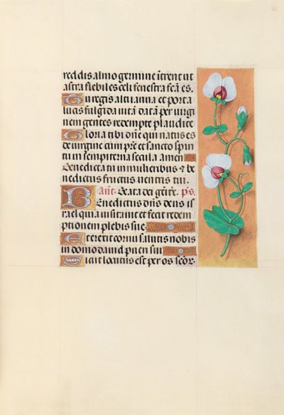 Horas de la Reina Isabel la Católica, Reina de España: Fol. 123r, c. 1500 de Master of the First Prayerbook of Maximillian