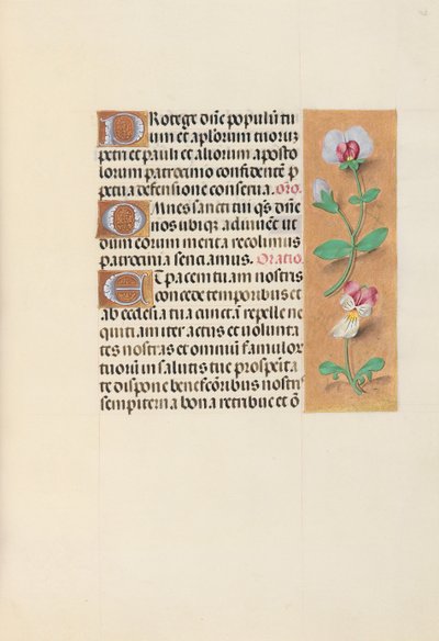 Horas de la Reina Isabel la Católica, Reina de España: Fol. 125r, c. 1500 de Master of the First Prayerbook of Maximillian