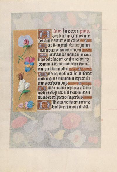 Horas de la Reina Isabel la Católica, Reina de España: Fol. 137v, c. 1500 de Master of the First Prayerbook of Maximillian