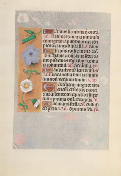 Horas de la Reina Isabel la Católica, Reina de España: Fol. 160v, c. 1500 de Master of the First Prayerbook of Maximillian