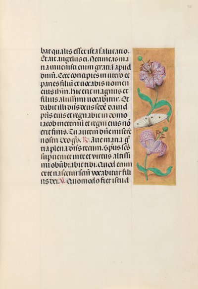 Horas de la Reina Isabel la Católica, Reina de España: Fol. 163r de Master of the First Prayerbook of Maximillian