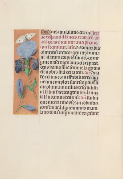 Horas de la Reina Isabel la Católica, Reina de España: Fol. 165v, c. 1500 de Master of the First Prayerbook of Maximillian