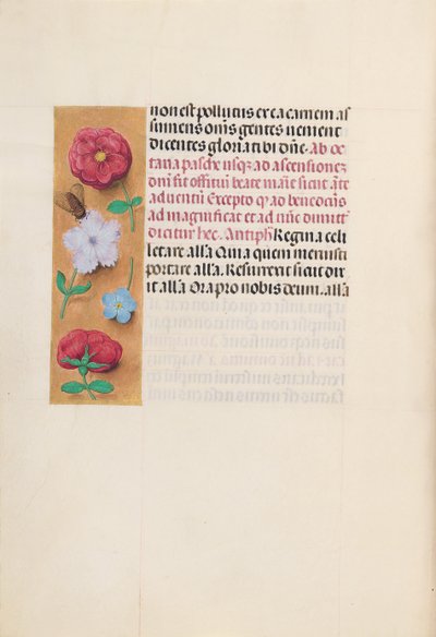Horas de la Reina Isabel la Católica, Reina de España: Fol. 166v, c. 1500 de Master of the First Prayerbook of Maximillian