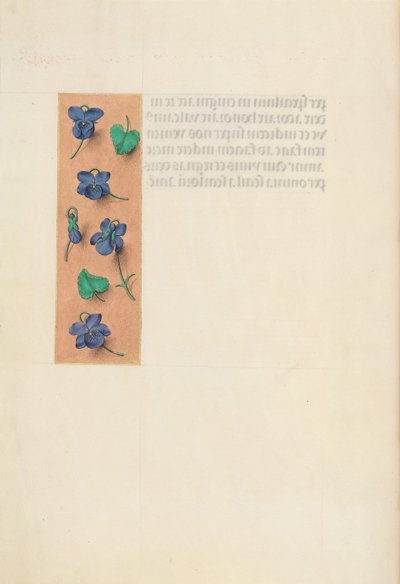 Horas de la Reina Isabel la Católica, Reina de España: Fol. 16v, Borde Corto, c. 1500 de Master of the First Prayerbook of Maximillian