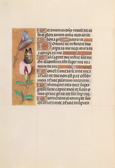 Horas de la Reina Isabel la Católica, Reina de España: Fol. 202v, c. 1500 de Master of the First Prayerbook of Maximillian
