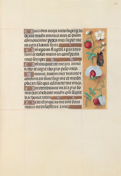 Horas de la Reina Isabel la Católica, Reina de España: Fol. 204r, c. 1500 de Master of the First Prayerbook of Maximillian